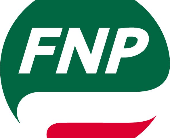 FNP pallino