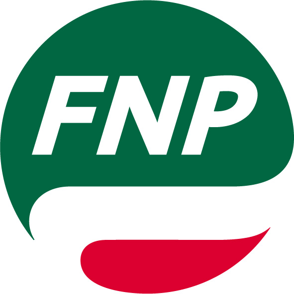 FNP pallino